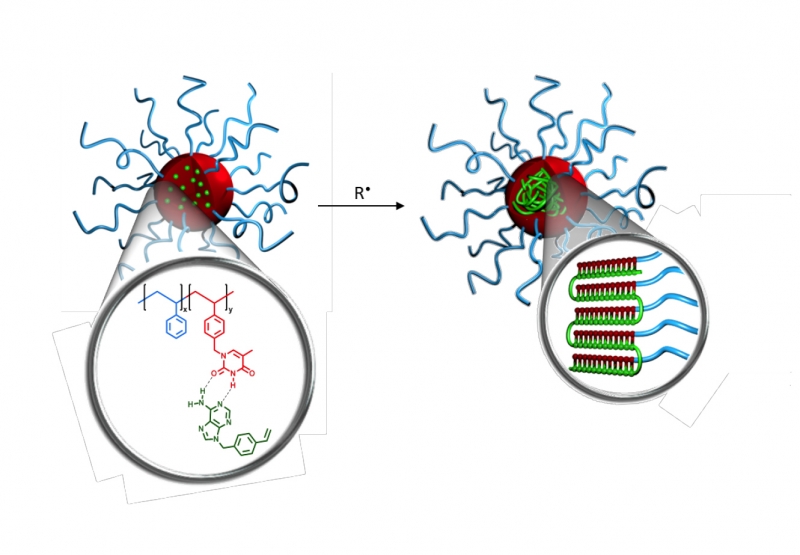 Graphic illustration of template radical polymerization in nanoreactors (selfassembled micelles)
