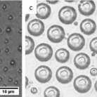 Polymeric Microcapsules