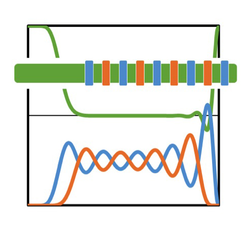 The statistical nature of chain growth strongly limits the achievable control, and establish experimental requirements for polymer design, balancing precise control with simplicity of synthesis. 