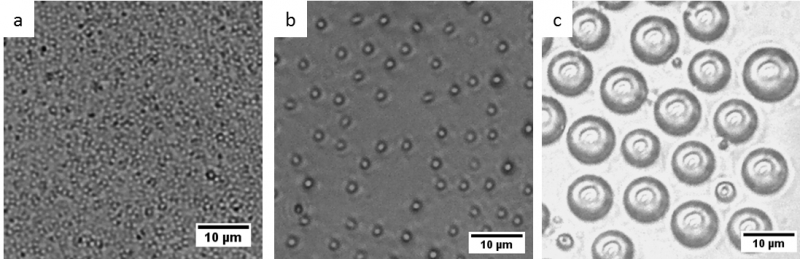 Polymeric Microcapsules